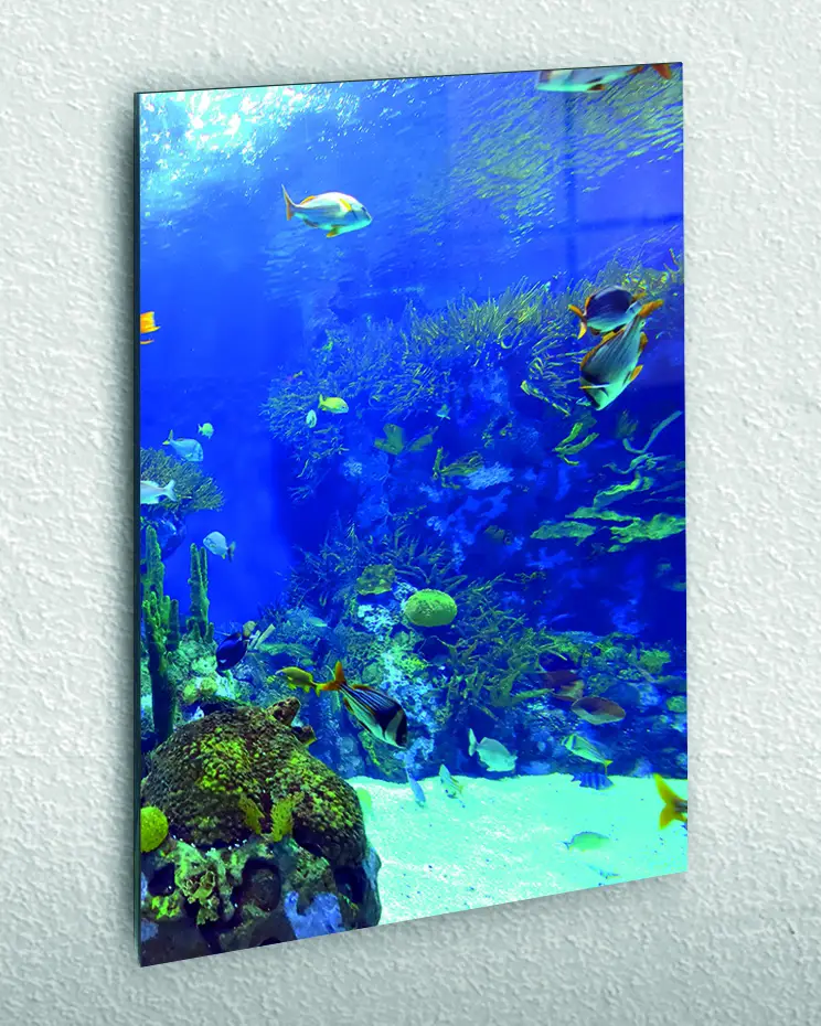 DDOG07_1-1.webp Mercan Resifinde Renkli Balıklar Temperli Cam Tablo - Görsel 1