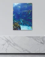 Mercan Resifinde Renkli Balıklar Temperli Cam Tablo - Görsel 4