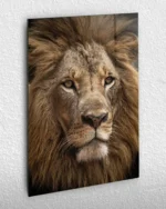 Aslan Portresi Temperli Cam Tablo