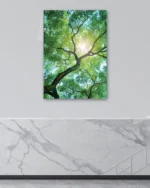 Güneş Işığıyla Parlayan Ağaç Dalları Temperli Cam Tablo - Görsel 4