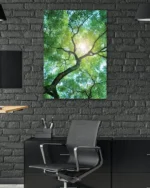 Güneş Işığıyla Parlayan Ağaç Dalları Temperli Cam Tablo - Görsel 6