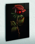 Siyah Fon Üzerinde Kırmızı Gül Temperli Cam Tablo