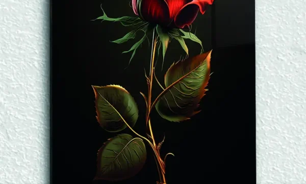 Siyah Fon Üzerinde Kırmızı Gül Temperli Cam Tablo