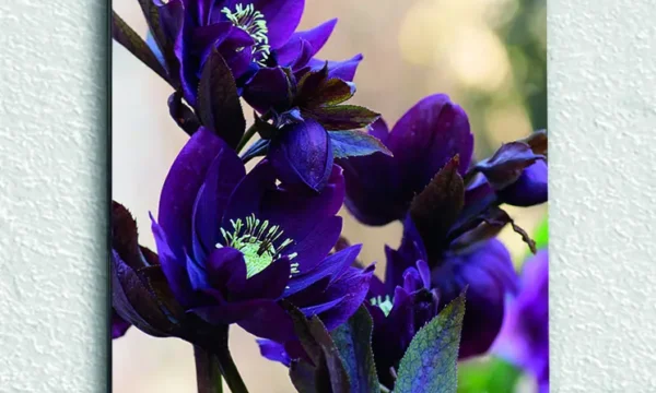 Mor Tonlarda Çiçek Detaylı Temperli Cam Tablo