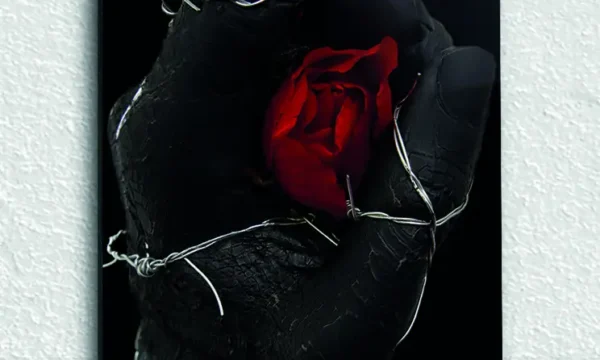 Dikenli Eldeki Kırmızı Gül Temperli Cam Tablo