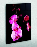 Pembe Orkide Dalları Temperli Cam Tablo