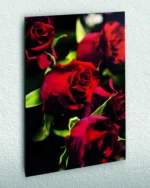 Koyu Arka Planda Kırmızı Güller Temperli Cam Tablo