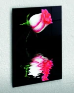 Yansımalı Pembe Gül Temperli Cam Tablo