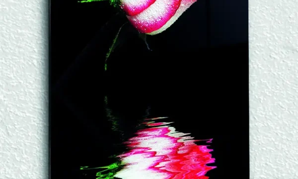 Yansımalı Pembe Gül Temperli Cam Tablo