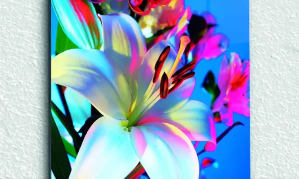 Renkli Zambak Çiçeği Temperli Cam Tablo