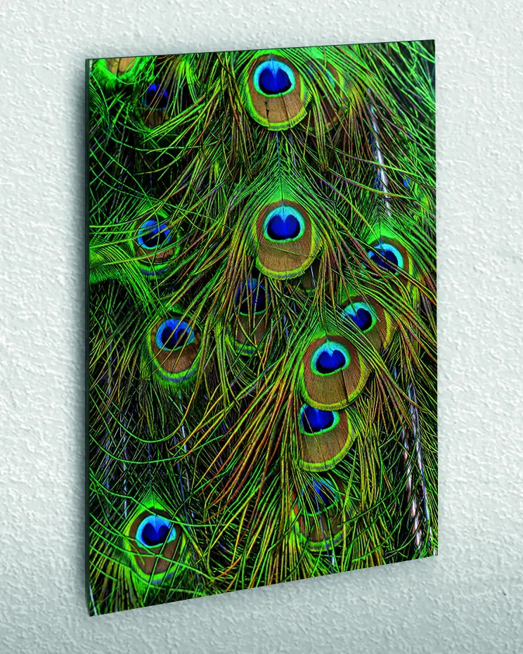 DDOG165_1-1.webp Tavus Kuşu Tüyleri Detaylı Temperli Cam Tablo - Görsel 1