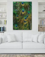 Tavus Kuşu Tüyleri Detaylı Temperli Cam Tablo - Görsel 2