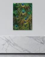 Tavus Kuşu Tüyleri Detaylı Temperli Cam Tablo - Görsel 4