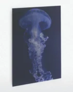 Derin Deniz Mavisi Denizanası Temperli Cam Tablo