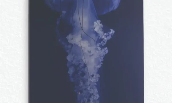 Derin Deniz Mavisi Denizanası Temperli Cam Tablo