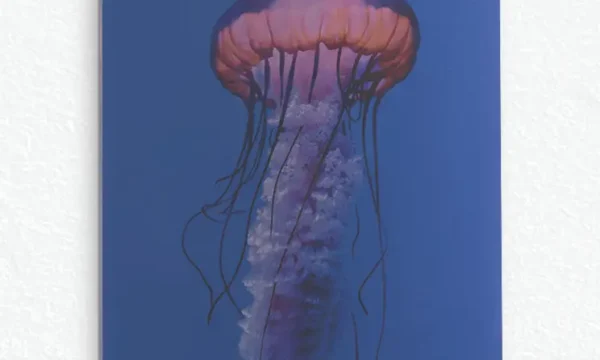 Mor Işıltılı Denizanası Temperli Cam Tablo