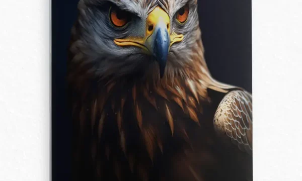 Karanlıkta Kartal Bakışı Temperli Cam Tablo