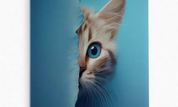 Mavi Fon Üzerinde Meraklı Kedi Temperli Cam Tablo