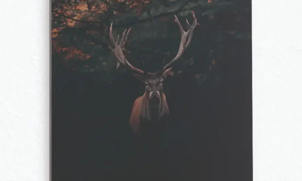 Karanlık Ormanda Geyik Silüeti Temperli Cam Tablo