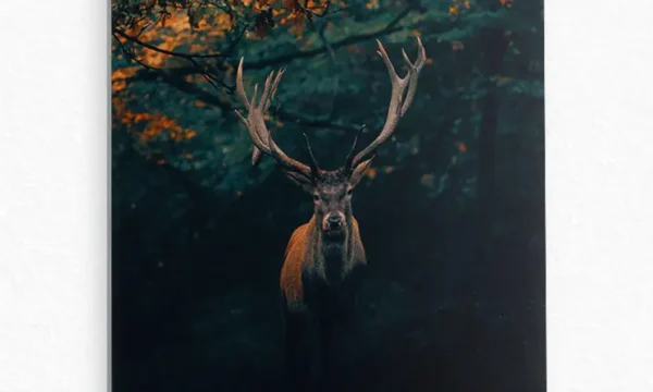 Ormanda Asaletli Geyik Temperli Cam Tablo