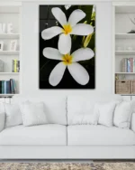 Beyaz Frangipani Çiçekleri Temperli Cam Tablo - Görsel 2