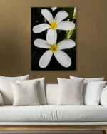 Beyaz Frangipani Çiçekleri Temperli Cam Tablo - Görsel 5