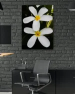 Beyaz Frangipani Çiçekleri Temperli Cam Tablo - Görsel 6