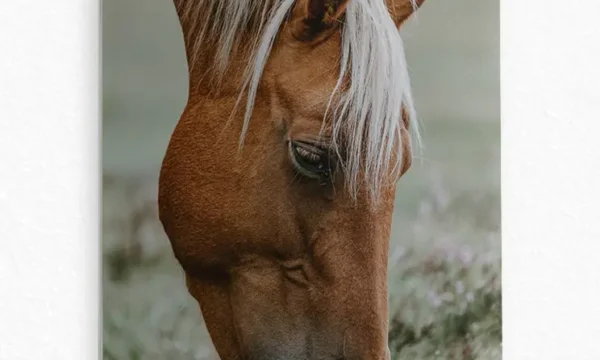 Otlayan Kahverengi At Temperli Cam Tablo