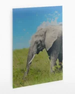 Afrika Savanasında Fil Temperli Cam Tablo