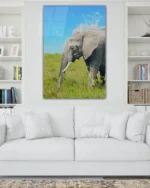 Afrika Savanasında Fil Temperli Cam Tablo - Görsel 2