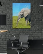Afrika Savanasında Fil Temperli Cam Tablo - Görsel 6