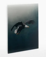 Uçan Kartal Temperli Cam Tablo