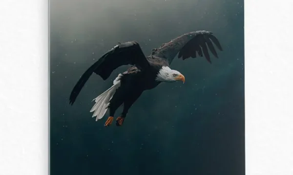 Uçan Kartal Temperli Cam Tablo